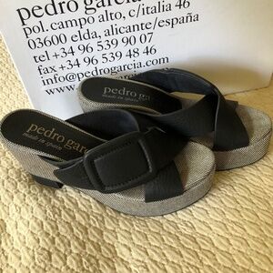 Pedro Garcia Platforms
